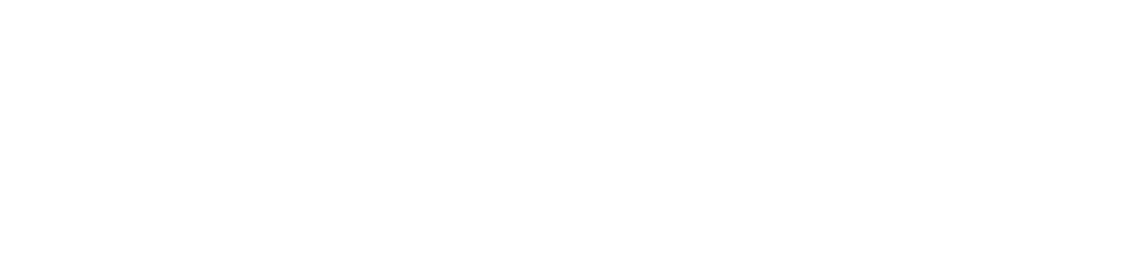 Dlux Aminos